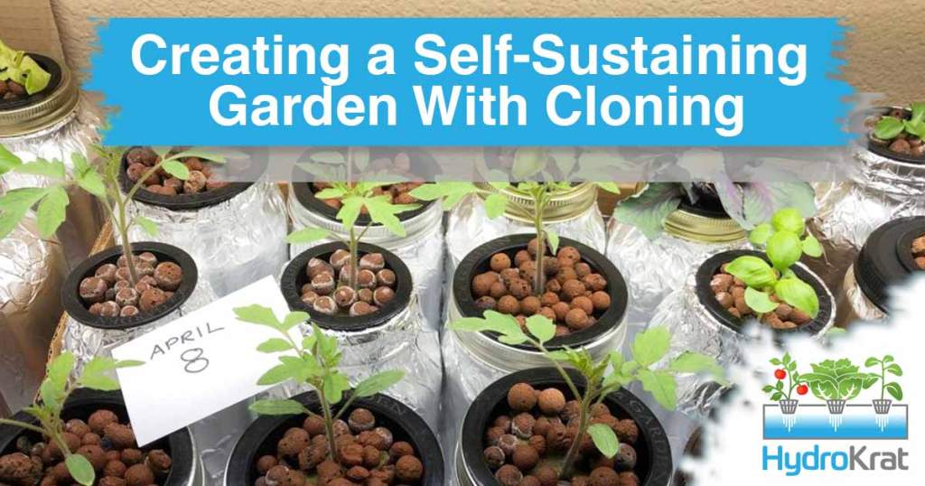 Creating a self-sustaining garden with cloning