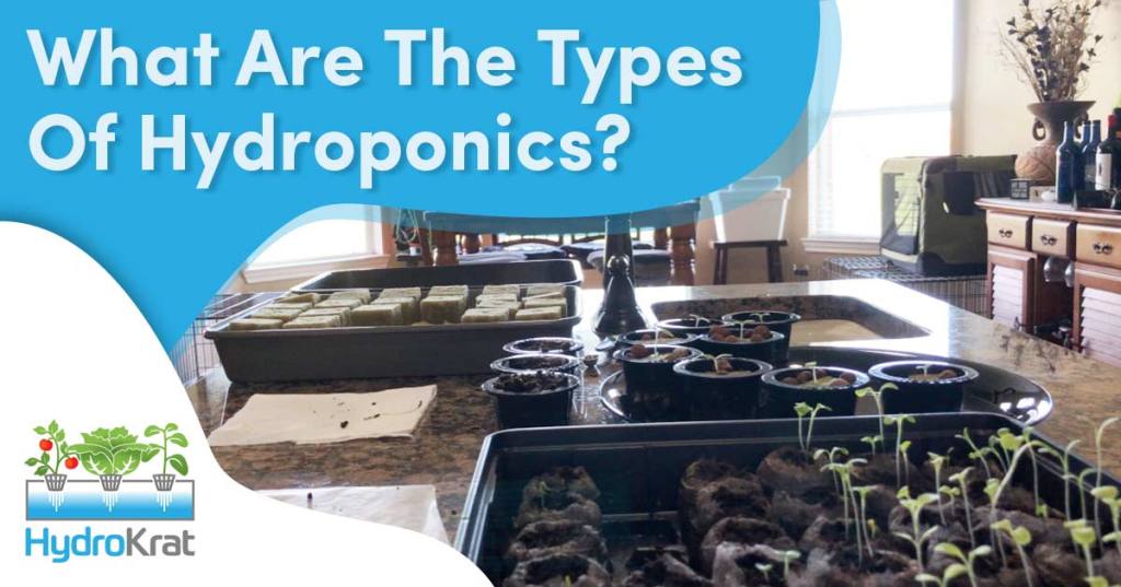 What are the Types of Hydroponics?